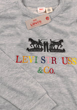 Lade das Bild in den Galerie-Viewer, Levi&#39;s Herren Sweatshirt | Gesticktes Logo &amp; Hochwertiges Baumwollmaterial | 74318
